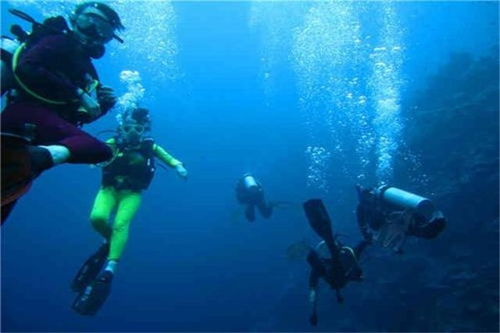 湖北荊州區水下錄像專業施工與打撈服務 技術與責任的雙重保障